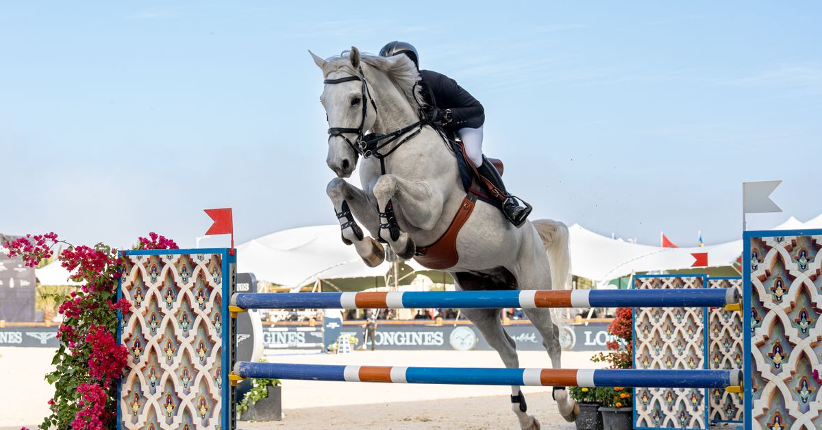 Horse and rider showcasing skill in a thrilling show jumping event outdoors.